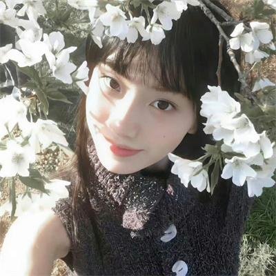 骑士的漫游