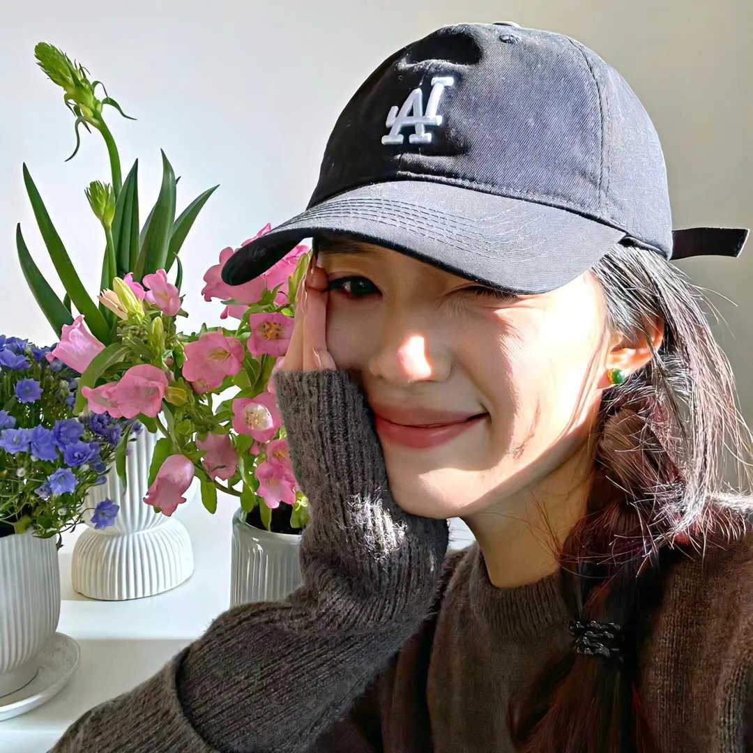 最后的飞行